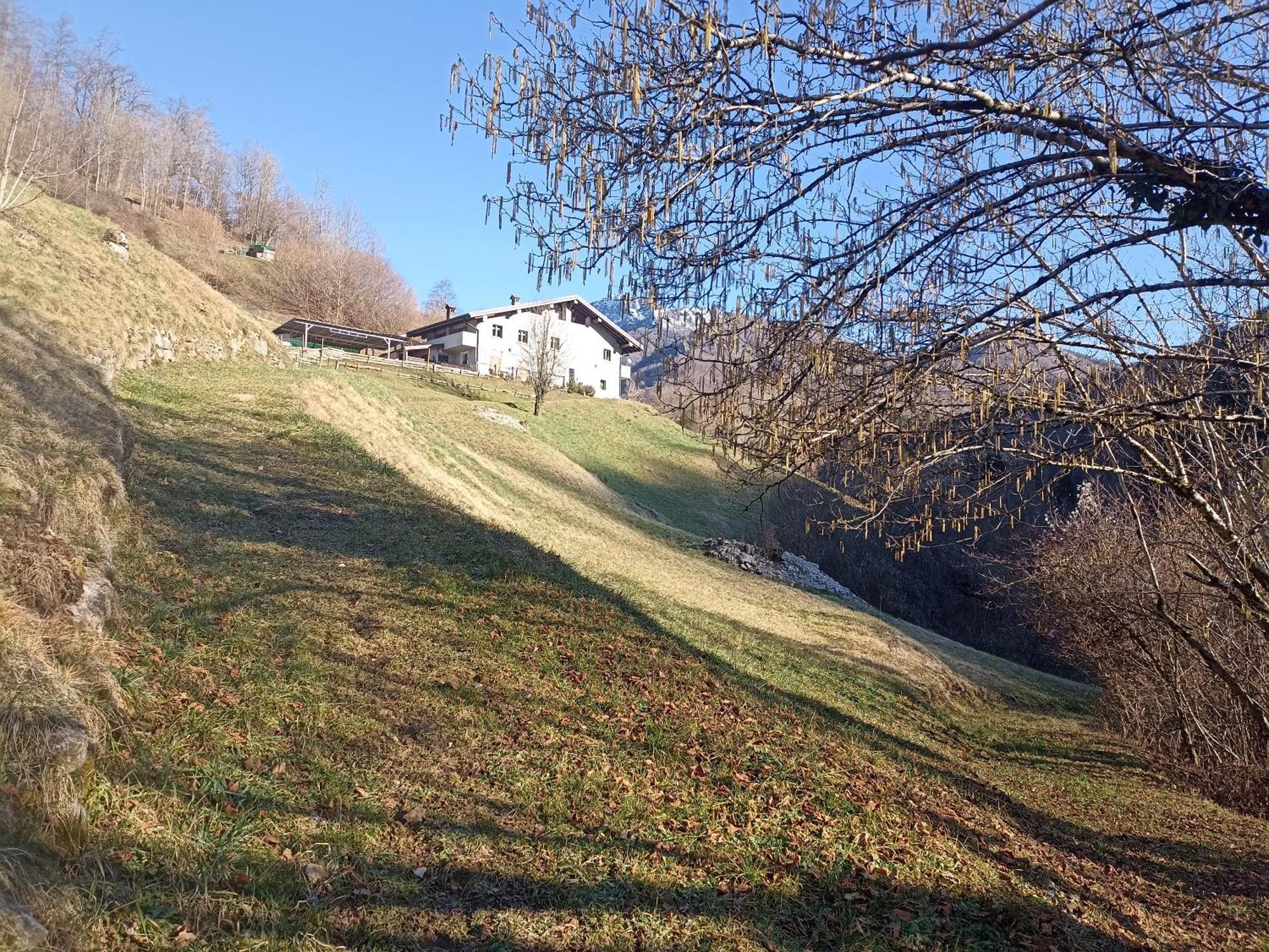 Agriturismo Cascina Cornella Cremeno Dış mekan fotoğraf
