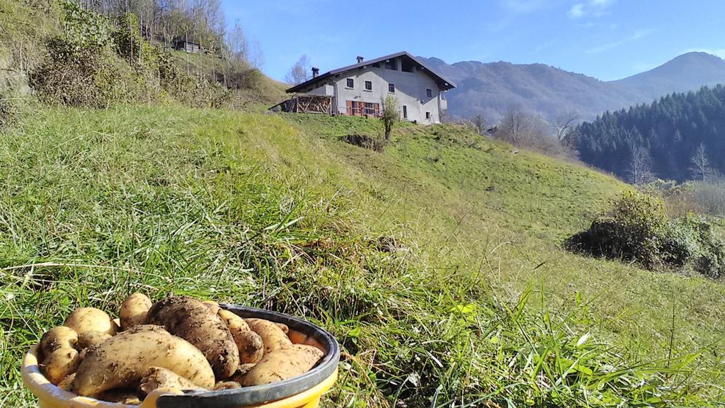 Agriturismo Cascina Cornella Cremeno Dış mekan fotoğraf