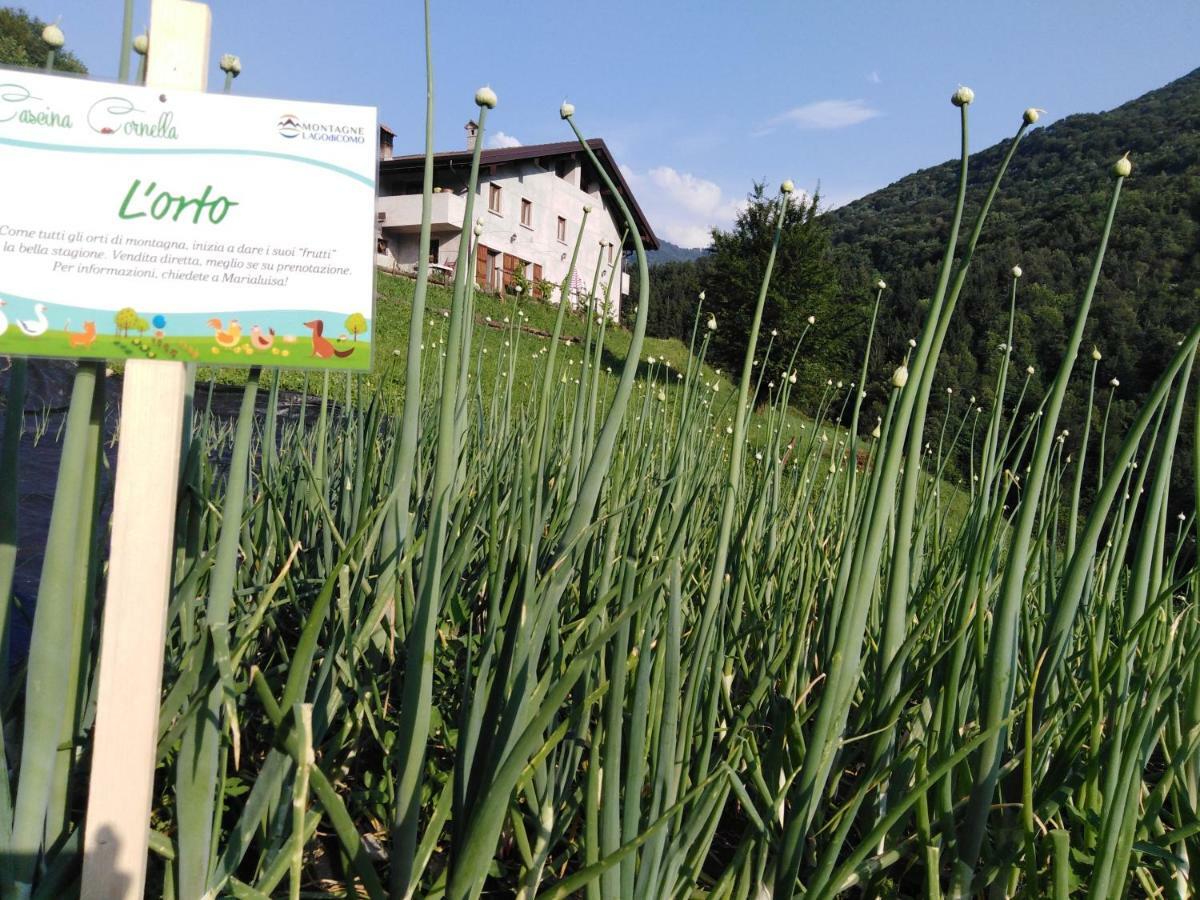 Agriturismo Cascina Cornella Cremeno Dış mekan fotoğraf
